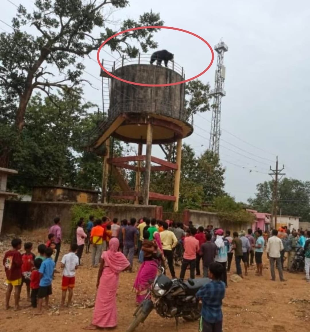 Chhattisgarh Crimes