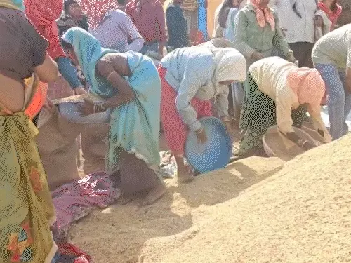 Chhattisgarh Crimes