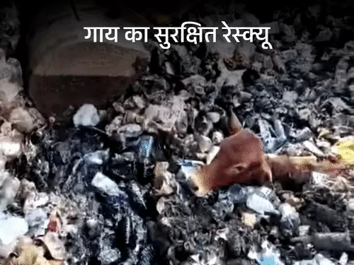 Chhattisgarh Crimes